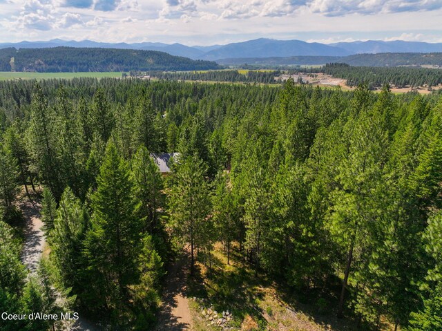 165 Old Relic Rd, Bonners Ferry, ID 83805 - photo 39