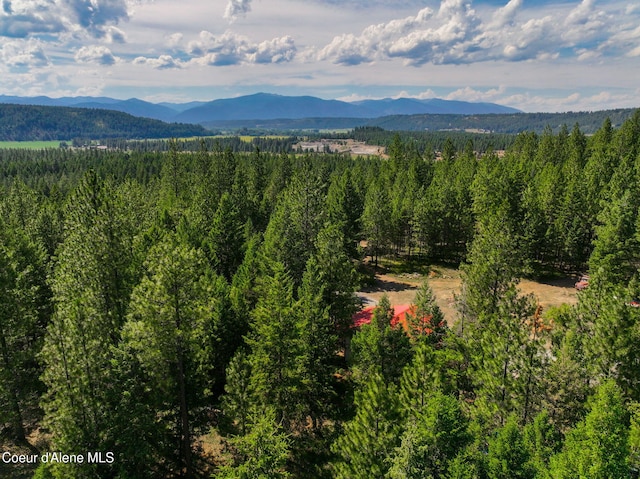 165 Old Relic Rd, Bonners Ferry, ID 83805 - photo 5
