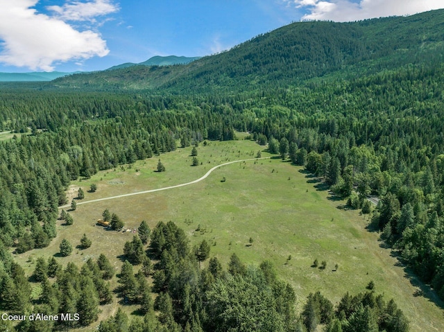 253 Shiloh Lp, Naples, ID 83847