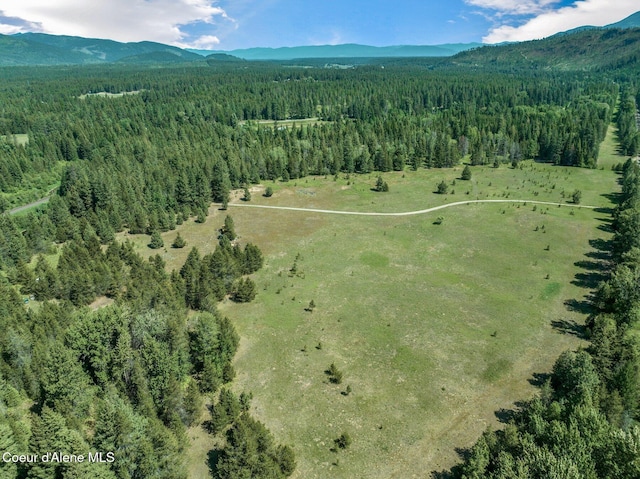 253 Shiloh Lp, Naples, ID 83847