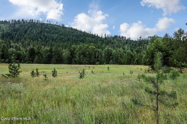 253 Shiloh Lp, Naples, ID 83847