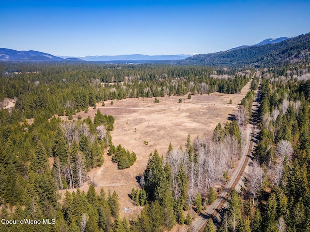 253 Shiloh Lp, Naples, ID 83847