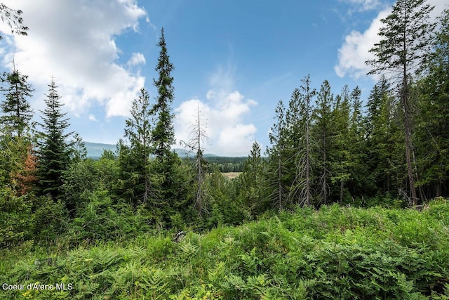 253 Shiloh Lp, Naples, ID 83847