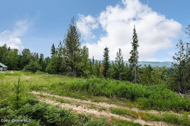 253 Shiloh Lp, Naples, ID 83847