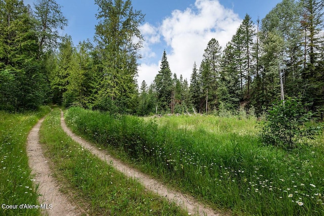 253 Shiloh Lp, Naples, ID 83847