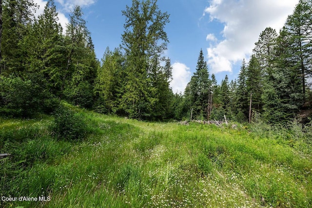 253 Shiloh Lp, Naples, ID 83847