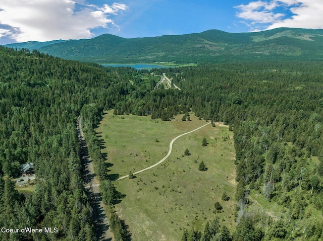 253 Shiloh Lp, Naples, ID 83847