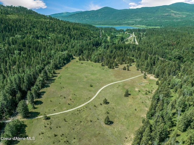 253 Shiloh Lp, Naples, ID 83847