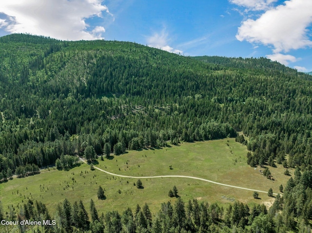 253 Shiloh Lp, Naples, ID 83847