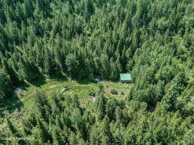 253 Shiloh Lp, Naples, ID 83847
