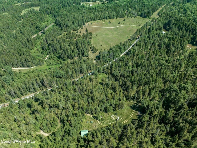 253 Shiloh Lp, Naples, ID 83847