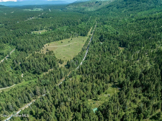 253 Shiloh Lp, Naples, ID 83847