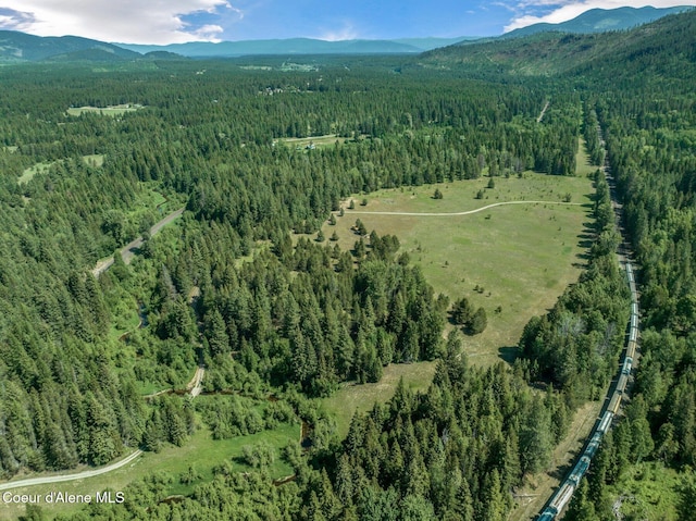 253 Shiloh Lp, Naples, ID 83847