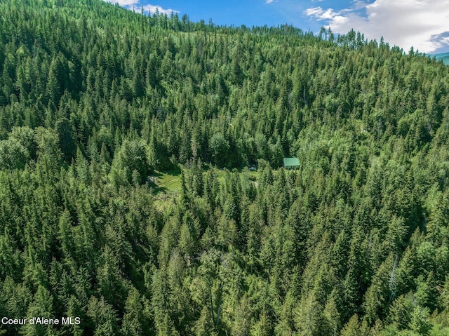 253 Shiloh Lp, Naples, ID 83847