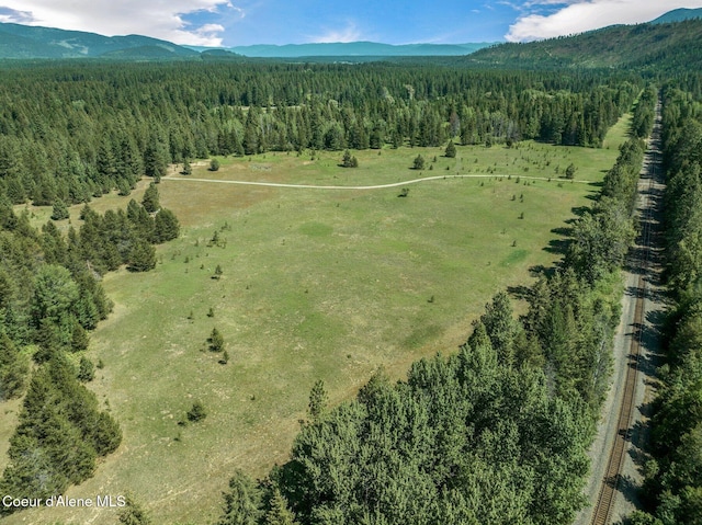 253 Shiloh Lp, Naples, ID 83847