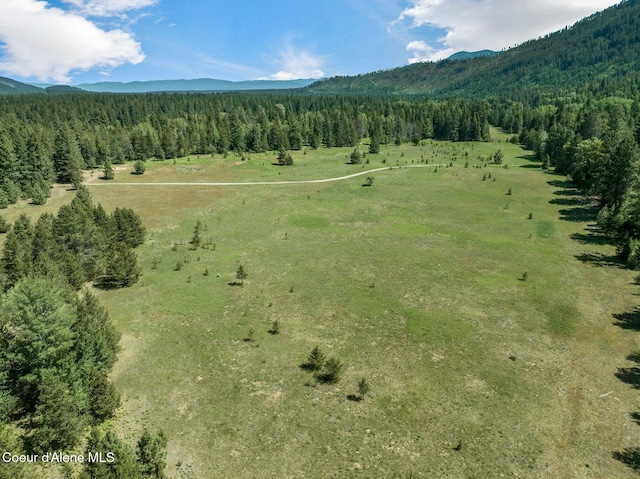 253 Shiloh Lp, Naples, ID 83847