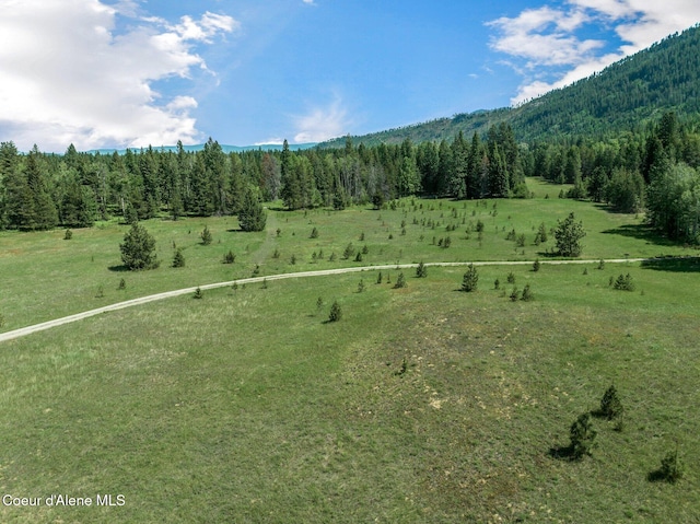 253 Shiloh Lp, Naples, ID 83847