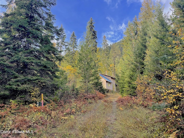 1728 Dry Creek Rd, Clark Fork, ID 83811 - view of yard with a view of trees