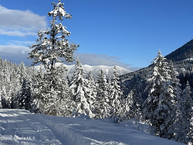1728 Dry Creek Rd, Clark Fork, ID 83811 - view of mountain backdrop