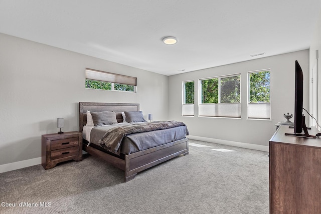 838 N Government Way, Coeur Dalene, ID 83814 - bedroom with multiple windows and carpet flooring