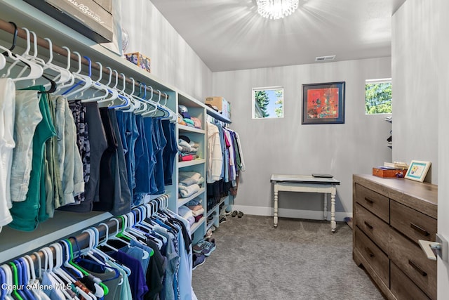 838 N Government Way, Coeur Dalene, ID 83814 - walk in closet featuring carpet