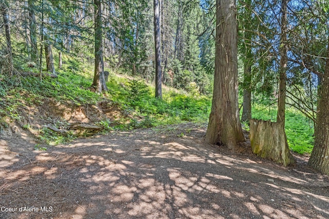 187 White Way, Priest River, ID 83856 - view of street with a forest view