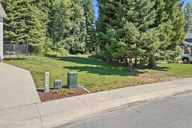 187 White Way, Priest River, ID 83856 - view of grassy yard with a trampoline