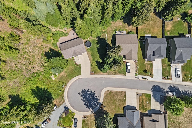 187 White Way, Priest River, ID 83856 - bird's eye view