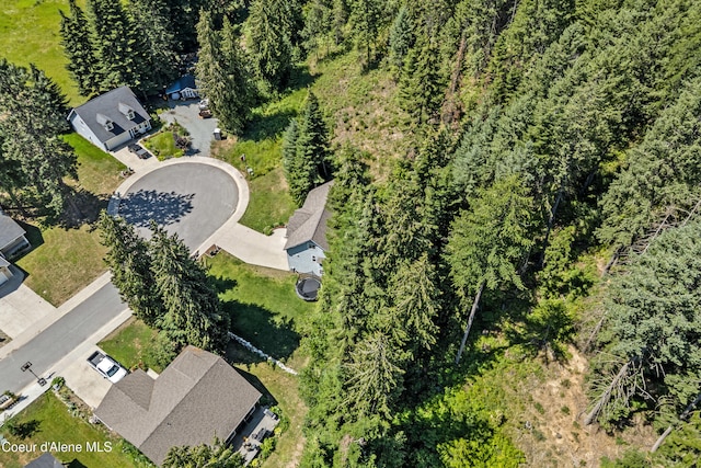 187 White Way, Priest River, ID 83856 - drone / aerial view