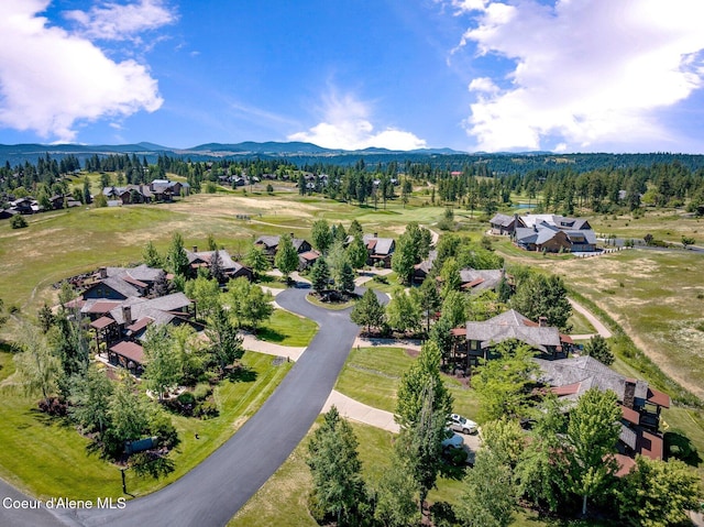 17033 S Citrine Dr, Coeur Dalene, ID 83814 - photo 47