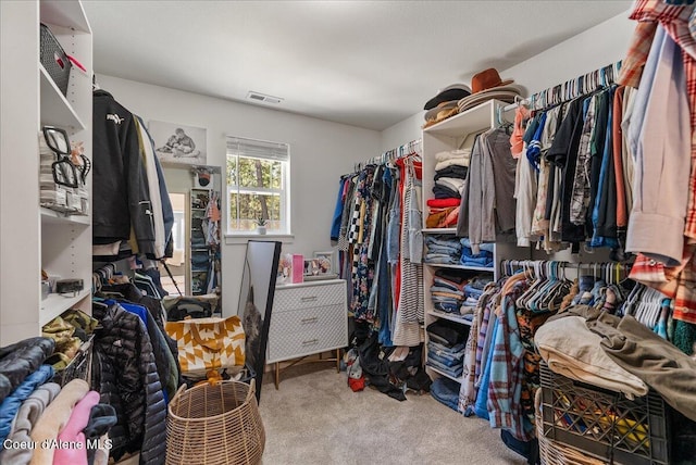 388 Wyatt Ln, Spirit Lake, ID 83869 - spacious closet featuring carpet floors
