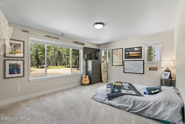 388 Wyatt Ln, Spirit Lake, ID 83869 - bedroom featuring multiple windows and carpet floors