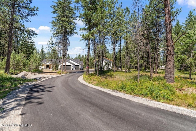 388 Wyatt Ln, Spirit Lake, ID 83869 - view of asphalt driveway