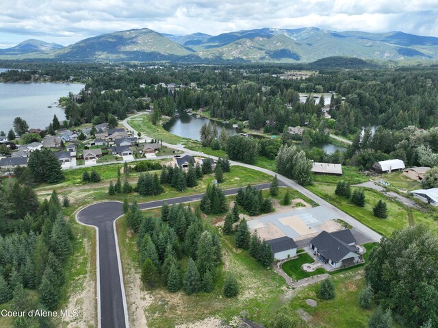 201 Osprey Ln, Sandpoint, ID 83864 - photo 53