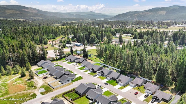 67 Bingham Way, Priest River, ID 83856 - aerial view of property's location featuring a mountainous background