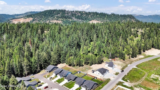 67 Bingham Way, Priest River, ID 83856 - view of property location with a forest and a mountain backdrop