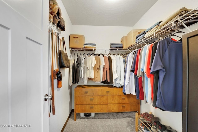67 Bingham Way, Priest River, ID 83856 - spacious closet with carpet flooring