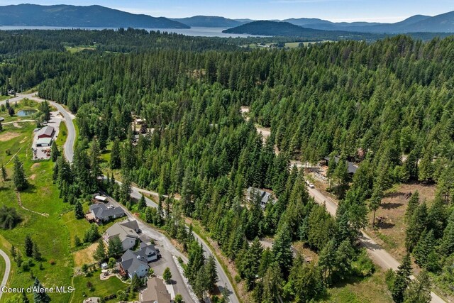 38 S Quail Run # A, Sandpoint, ID 83864 - photo 50