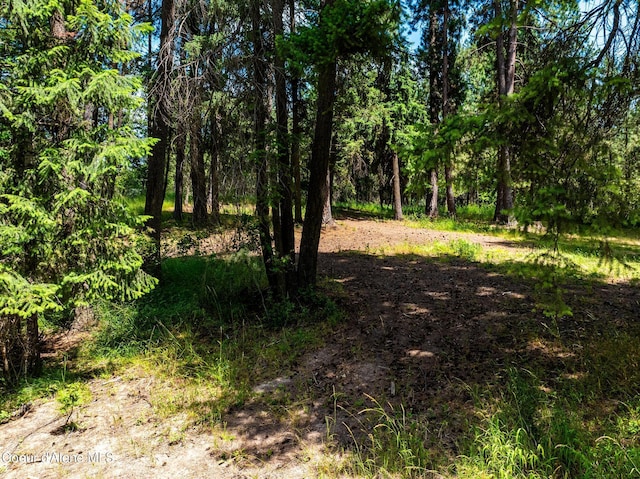 NKA Goldrush Rd, Coeur Dalene, ID 83814 - photo 13