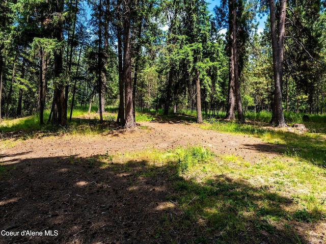 NKA Goldrush Rd, Coeur Dalene, ID 83814 - photo 14