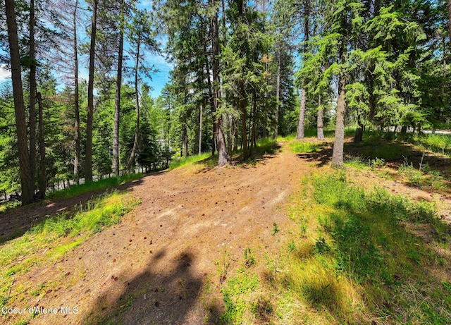 NKA Goldrush Rd, Coeur Dalene, ID 83814 - photo 19