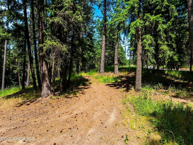 NKA Goldrush Rd, Coeur Dalene, ID 83814 - photo 20