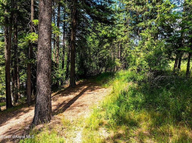 NKA Goldrush Rd, Coeur Dalene, ID 83814 - photo 21