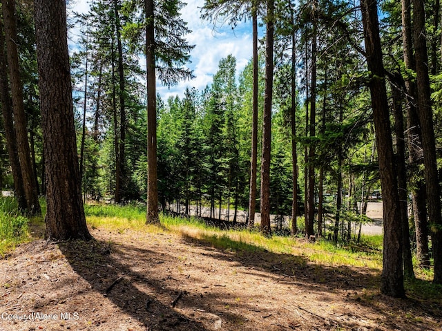NKA Goldrush Rd, Coeur Dalene, ID 83814 - photo 9