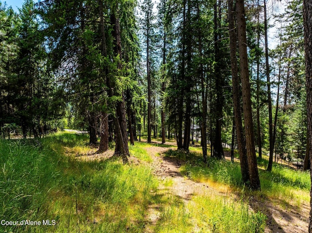 NKA Goldrush Rd, Coeur Dalene, ID 83814 - photo 8