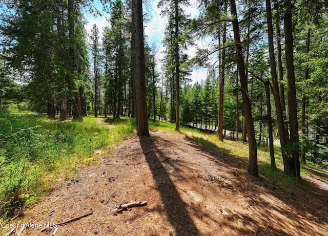 NKA Goldrush Rd, Coeur Dalene, ID 83814 - photo 12