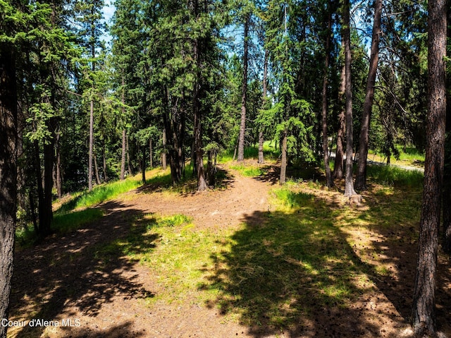 NKA Goldrush Rd, Coeur Dalene, ID 83814 - photo 10