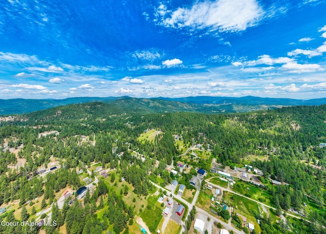 NKA Goldrush Rd, Coeur Dalene, ID 83814 - photo 27