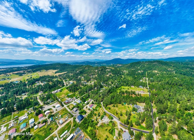 NKA Goldrush Rd, Coeur Dalene, ID 83814 - photo 30