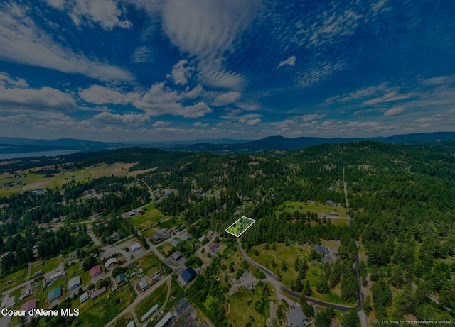 NKA Goldrush Rd, Coeur Dalene, ID 83814 - photo 31